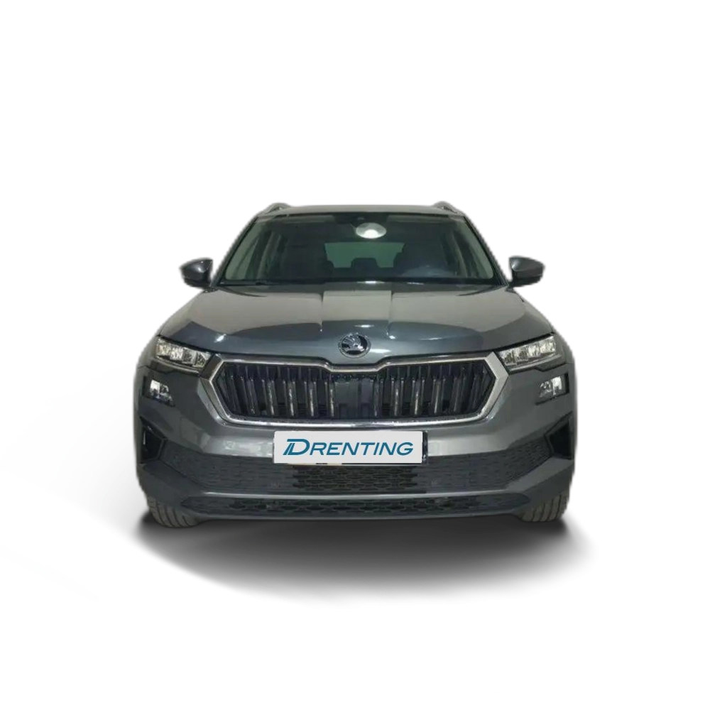 Skoda Karoq 2.0TDI Adblue Ambition DSG 85kW Gris