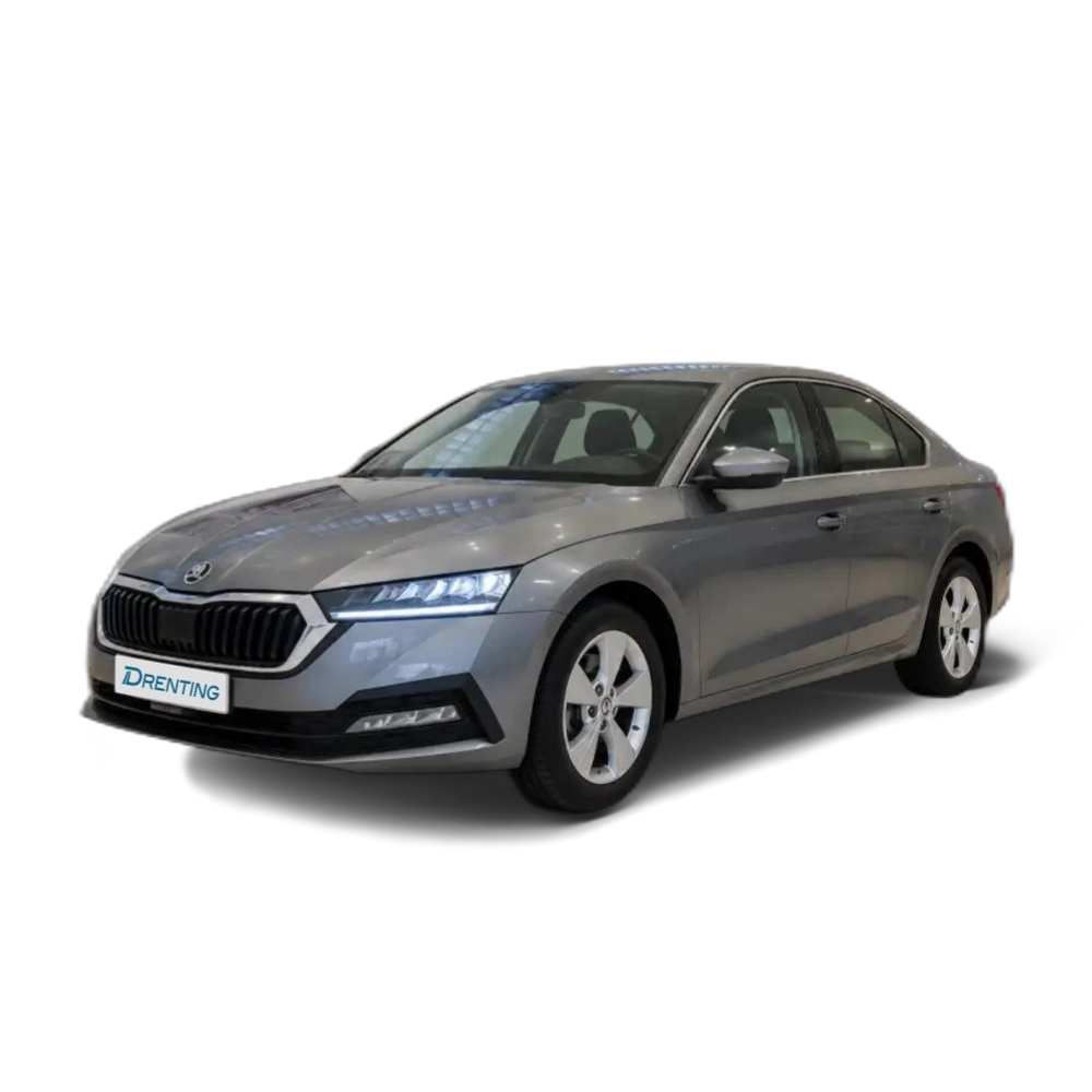 Skoda Octavia 2.0TDI Ambition 110kW Gris 1