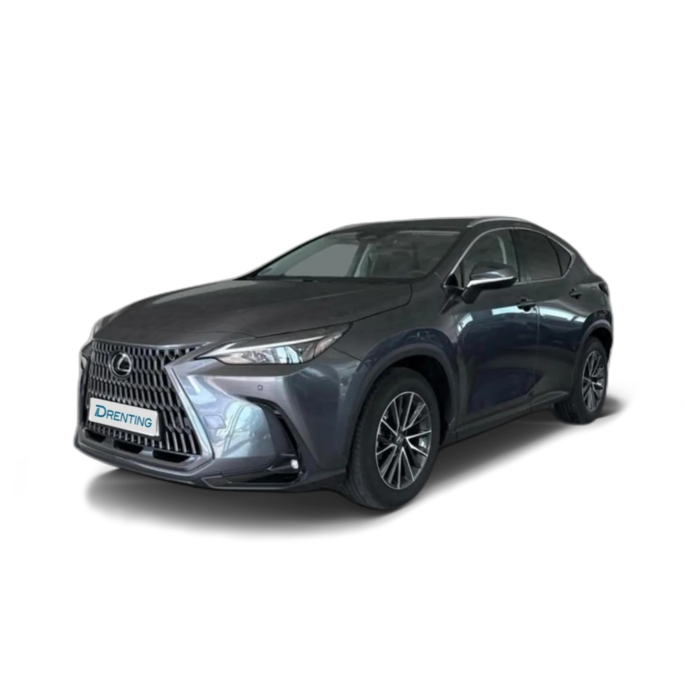 Lexus NX 450h+ 450H + PREMIUM + 4WD Gris 2