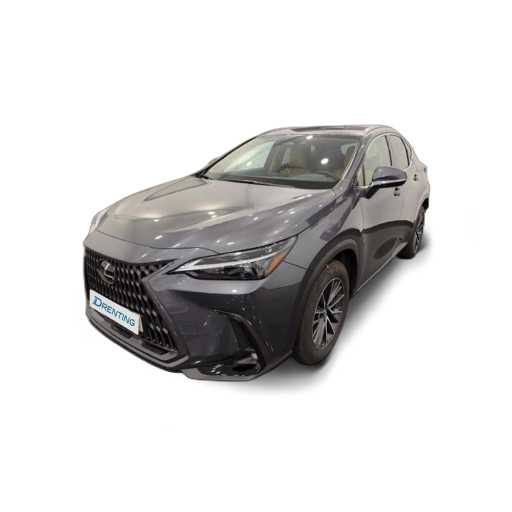 Lexus NX 450h+ 450H + PREMIUM + 4WD Gris