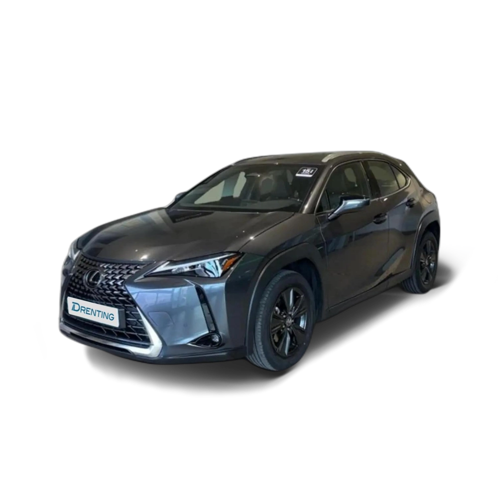 Lexus UX 300h + 4×2 Gris