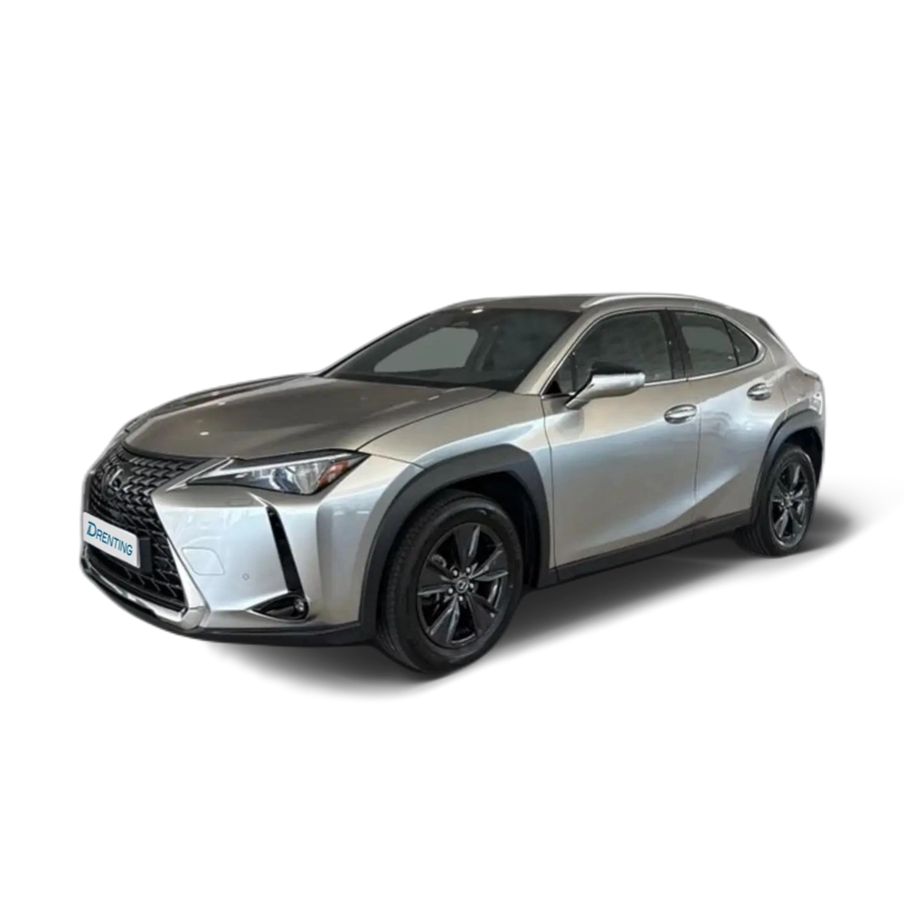Lexus UX 300h + Gris 1 1