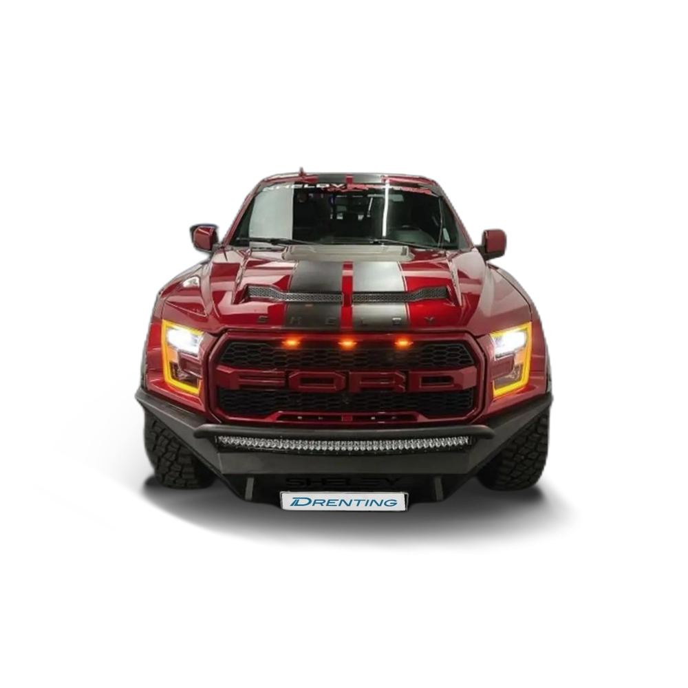 Ford F 150 BAJA SHELBY Burdeos