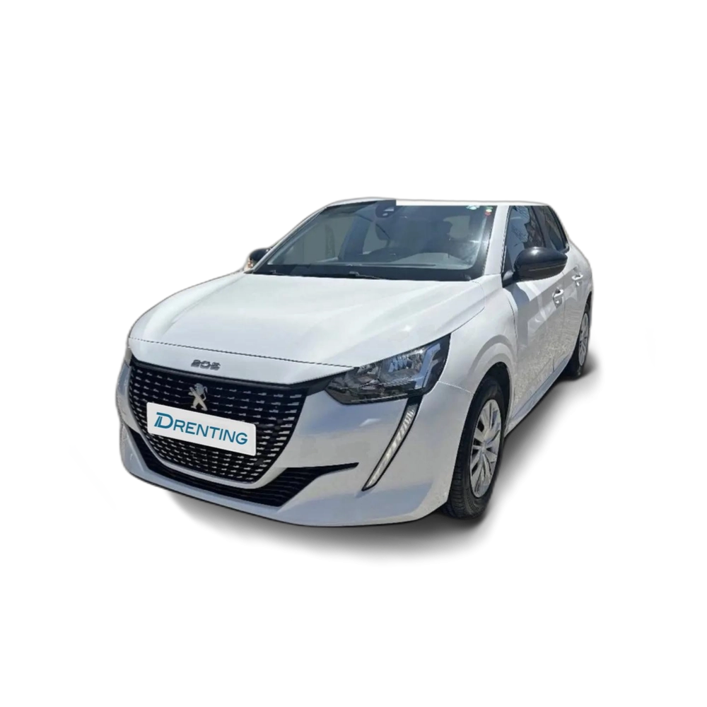 Peugeot 208 BlueHDi 73kW (100CV) Active Gris