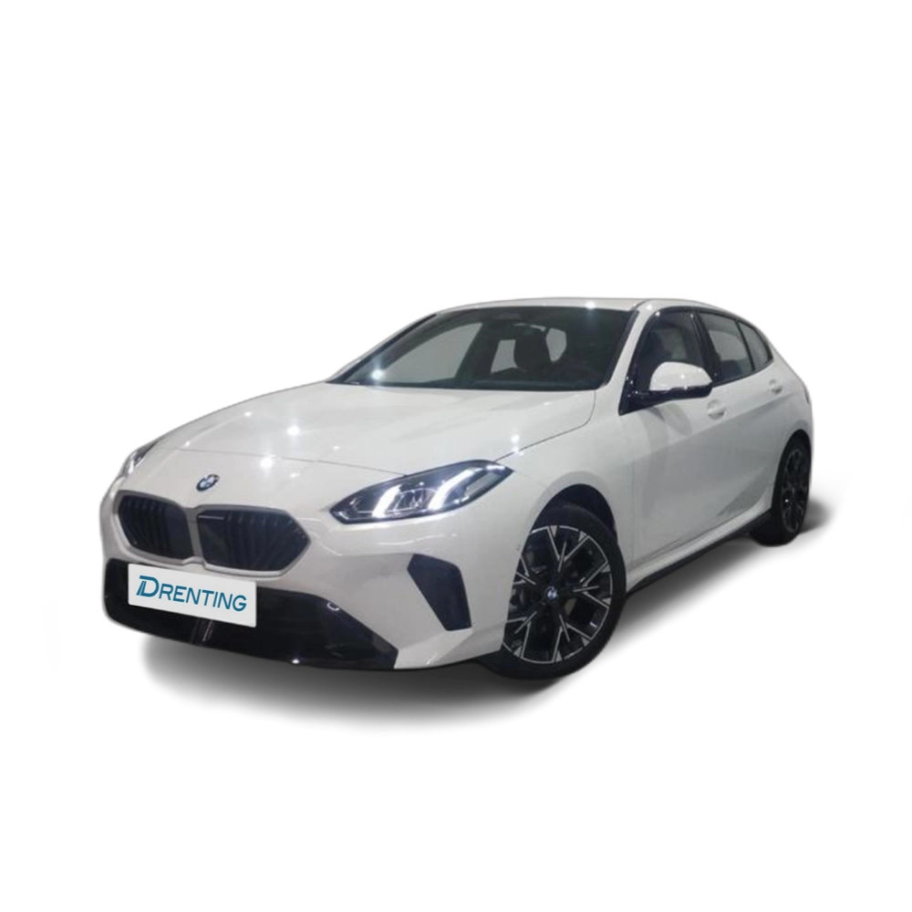 BMW Serie 1 116i 90 kW (122 CV) 7