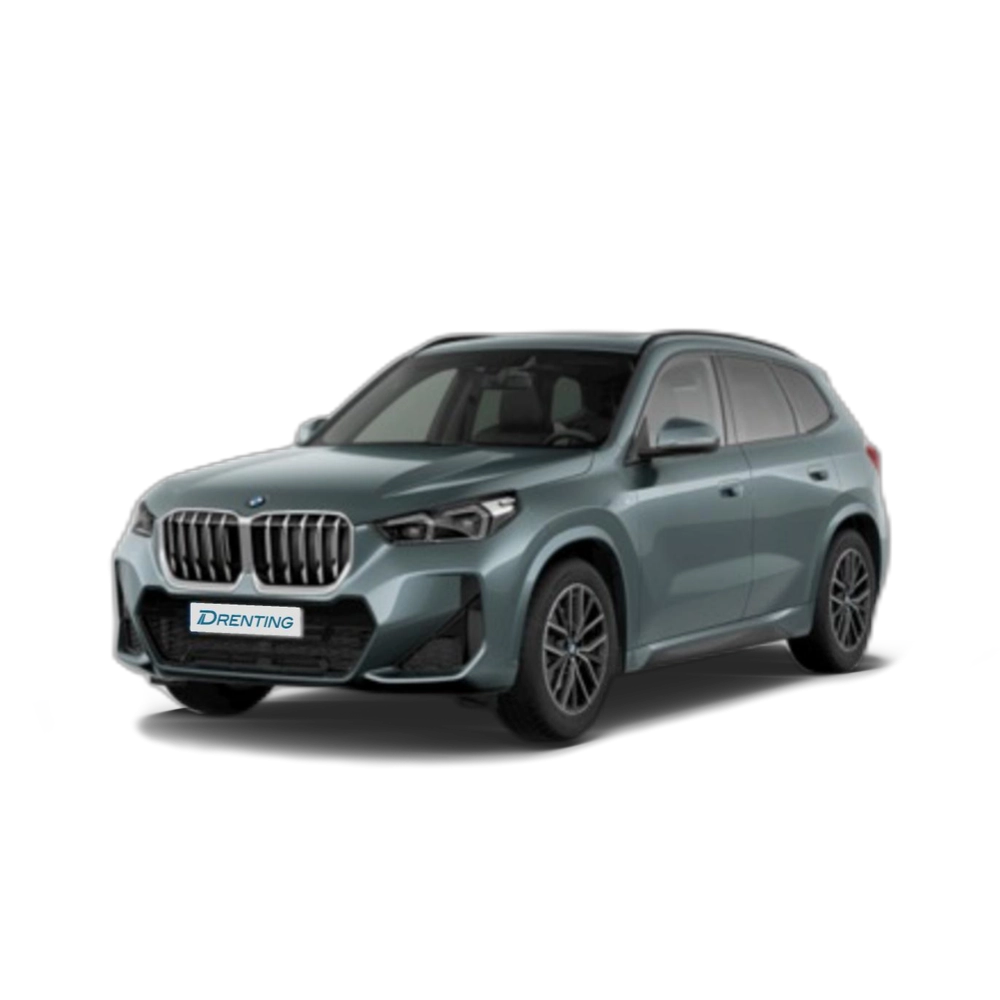 BMW X1 sDrive18d 110 kW (150 CV) 44