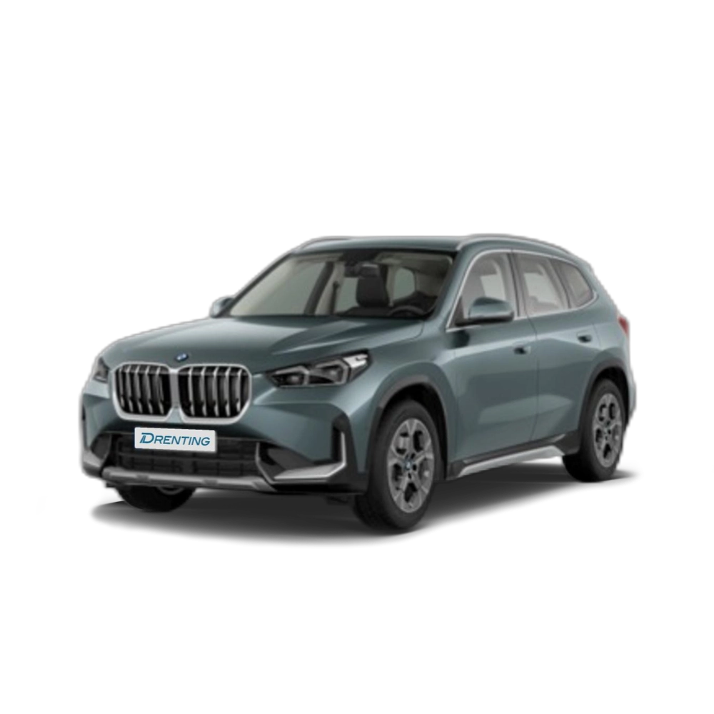 BMW X1 sDrive20d 120 kW (163 CV) 16