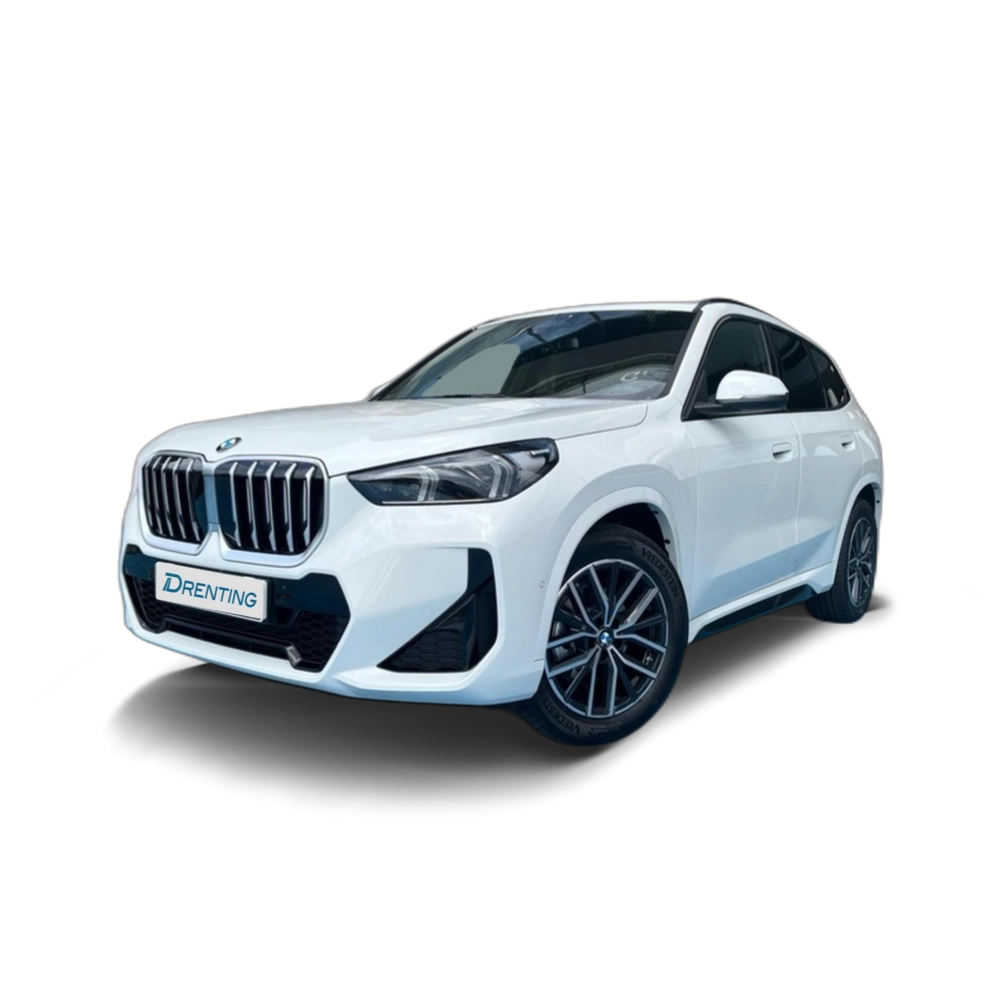 BMW X1 sDrive20d 120 kW (163 CV) 17