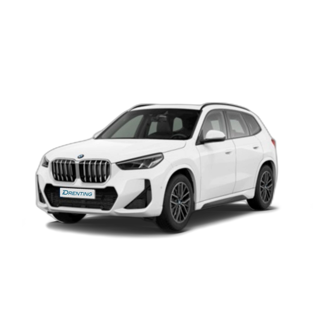 BMW X1 sDrive20d 120 kW (163 CV) 17 1