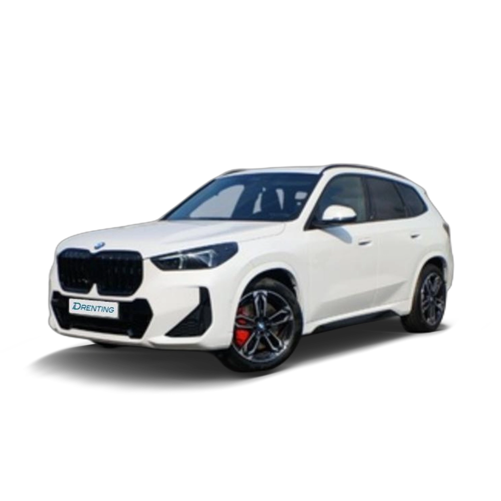 Renting BMW X1 sDrive20d 120 kW (163 CV) 17 9
