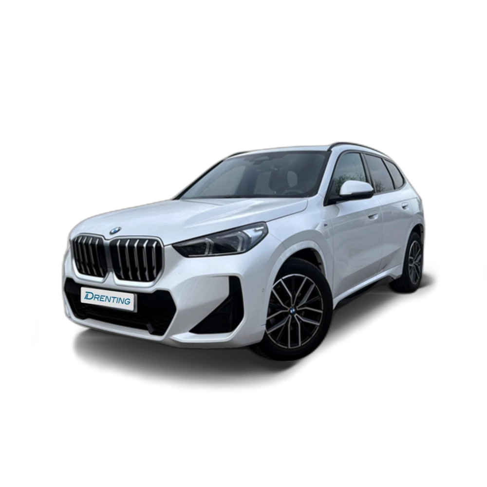 BMW X1 sDrive20d 120 kW (163 CV) 18 4