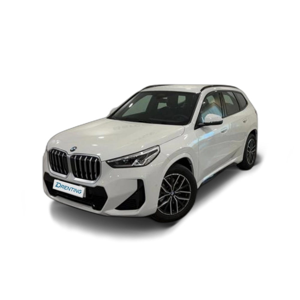 Renting BMW X1 sDrive20d 120 kW (163 CV) 2 10