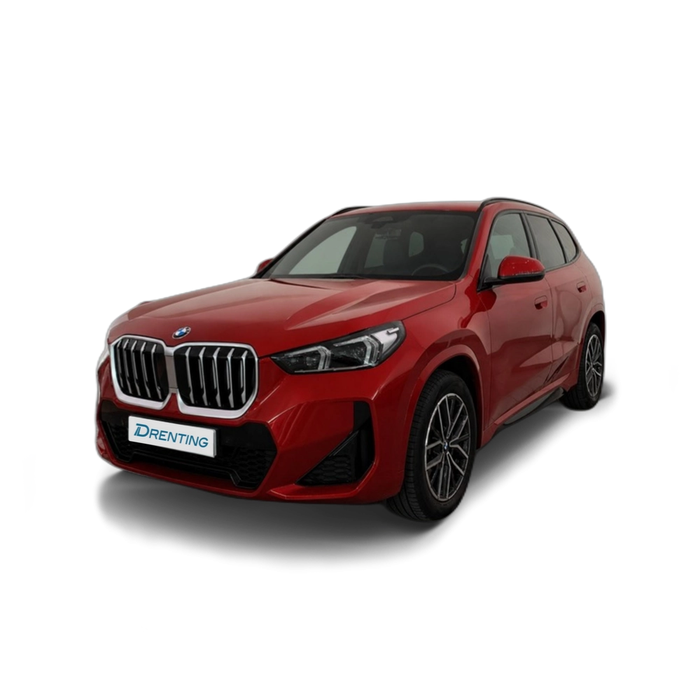 BMW X1 sDrive20d 120 kW (163 CV) 2 12