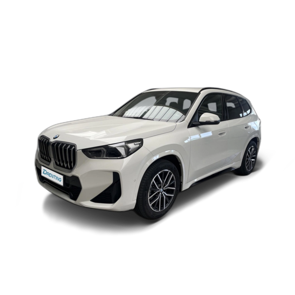 BMW X1 sDrive20d 120 kW (163 CV) 9
