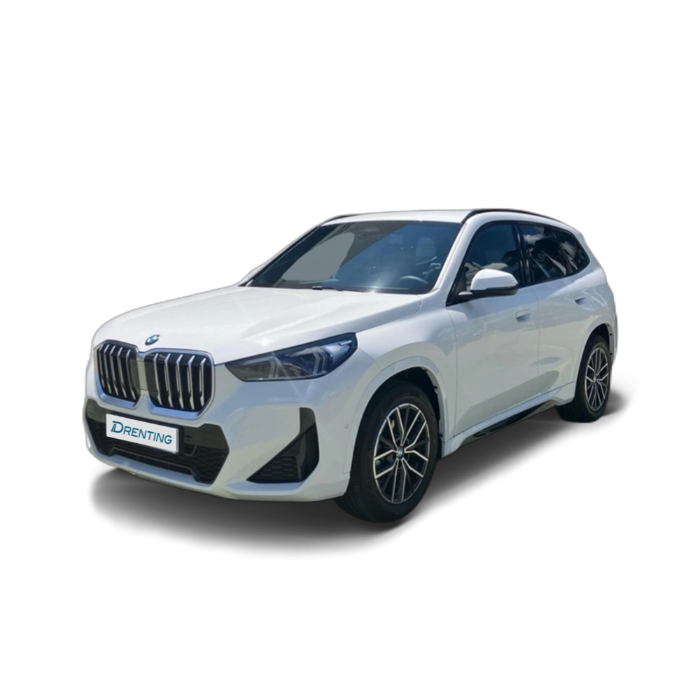 BMW X1 sDrive20i 125 kW (170 CV) 2