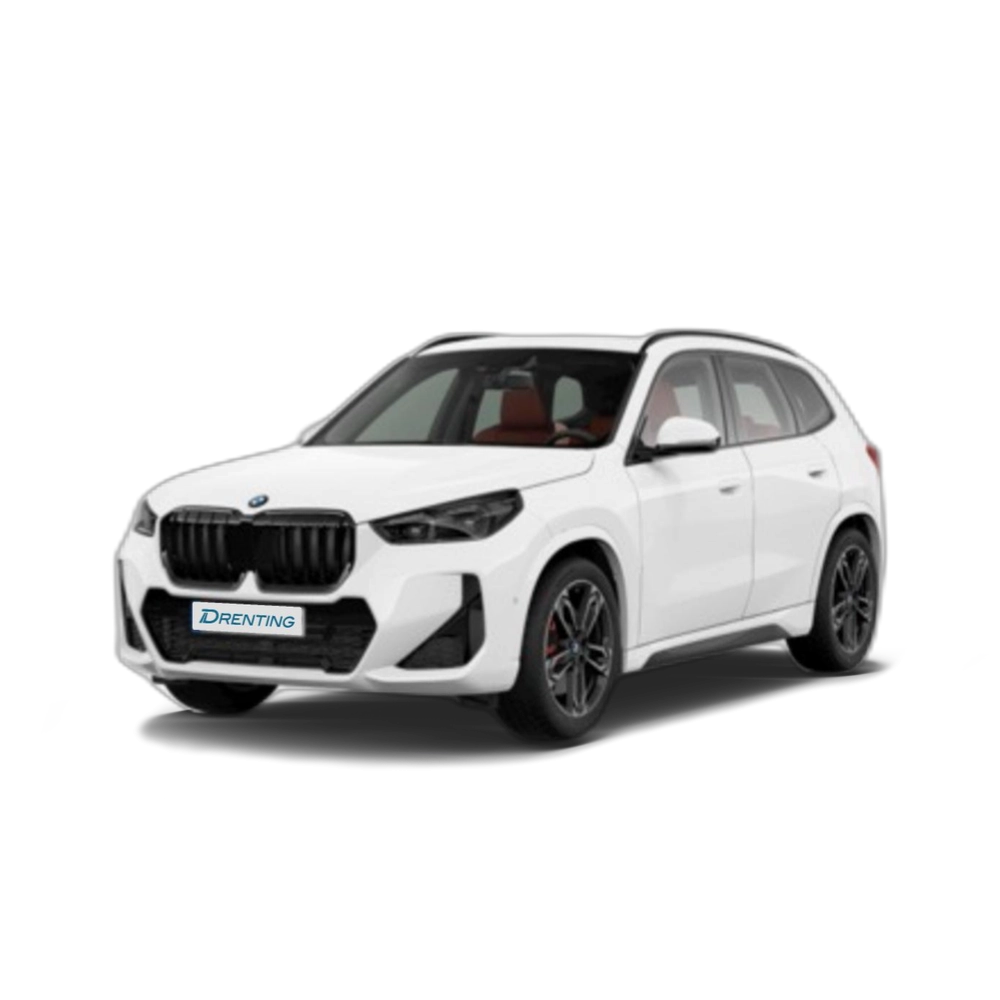 BMW X1 xDrive20d 120 kW (163 CV) 11