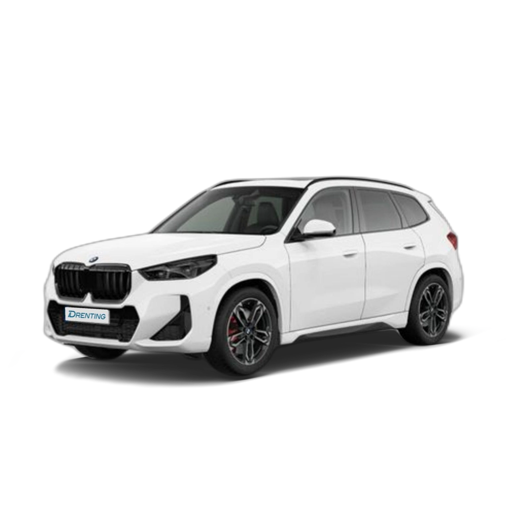BMW X1 xDrive20d 120 kW (163 CV) 16