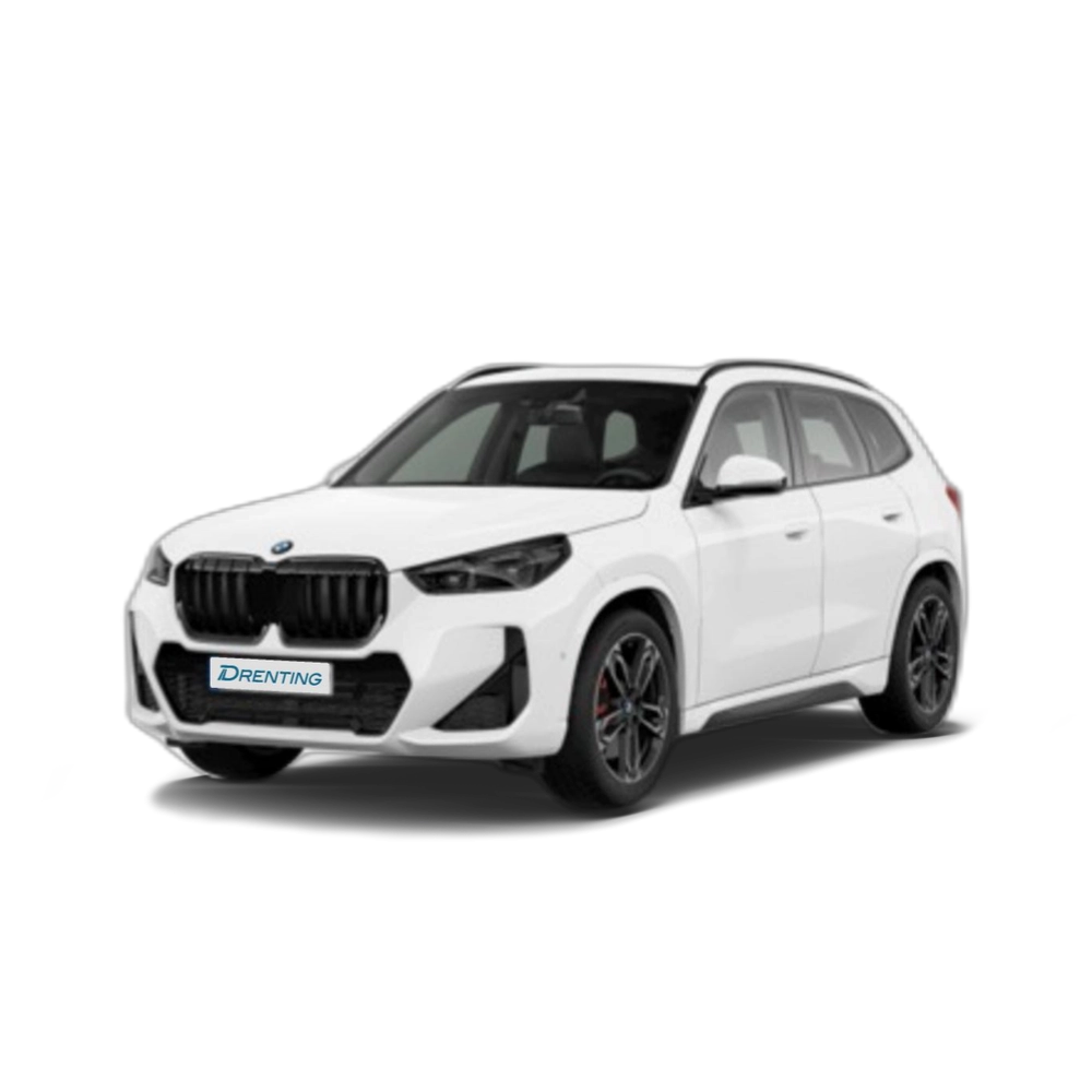 BMW X1 xDrive20d 120 kW (163 CV) 19