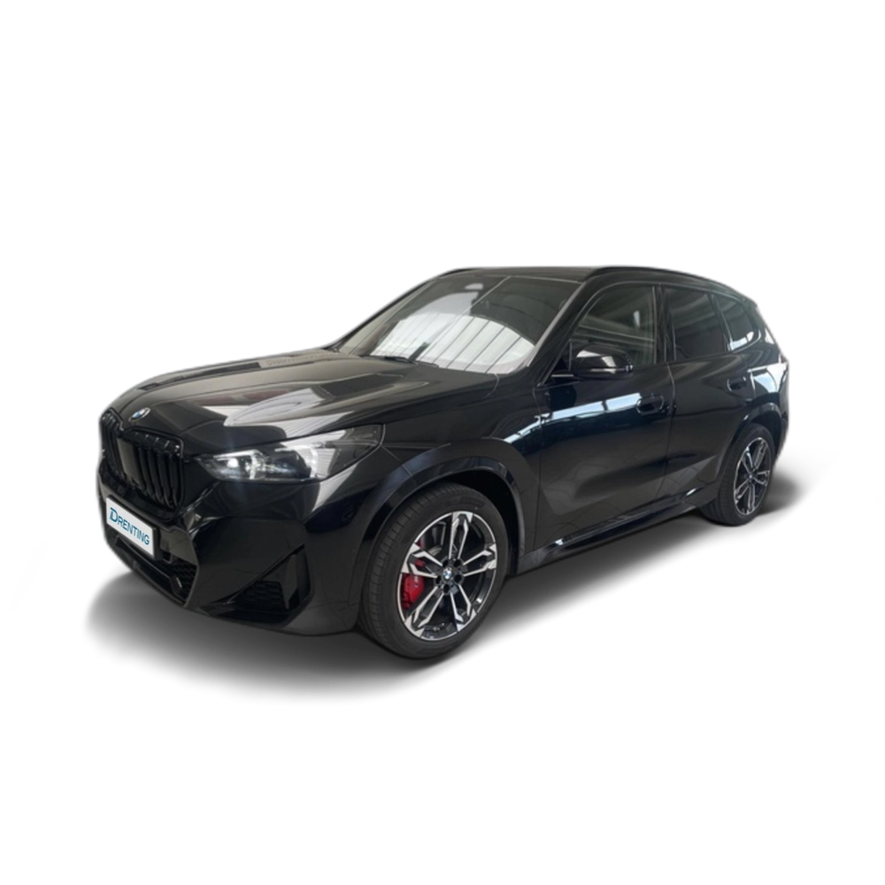 BMW X1 xDrive20d 120 kW (163 CV) 21