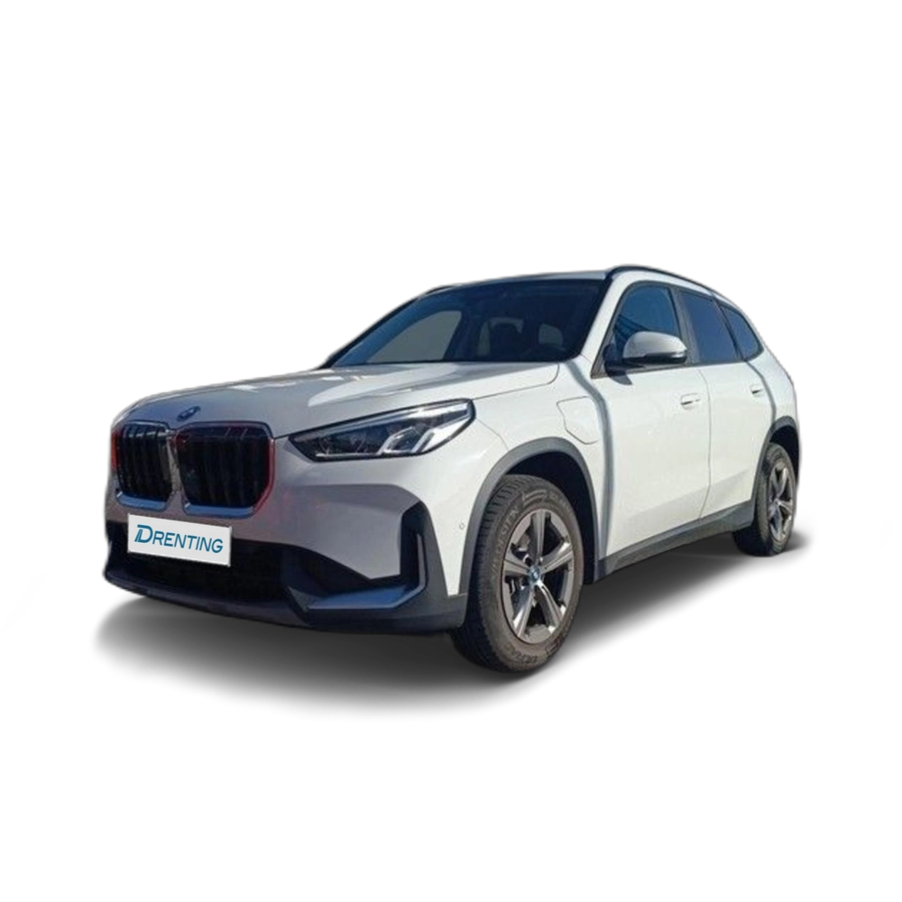 BMW X1 xDrive25e 180 kW (245 CV) 12 19