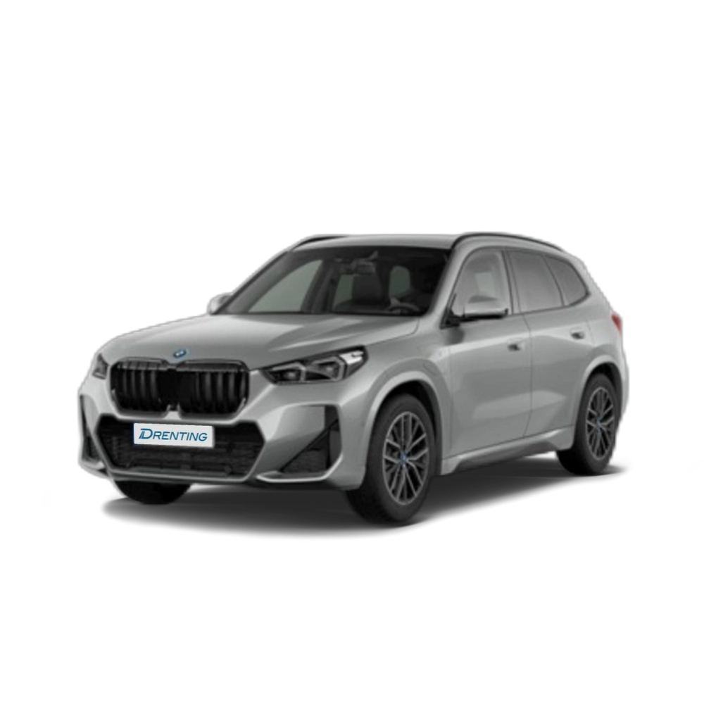 BMW X1 xDrive25e 180 kW (245 CV) 3 6
