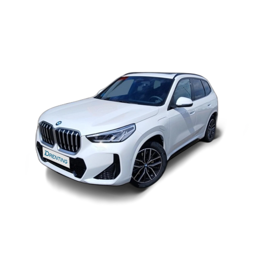 BMW X1 xDrive25e 180 kW (245 CV) 3 9