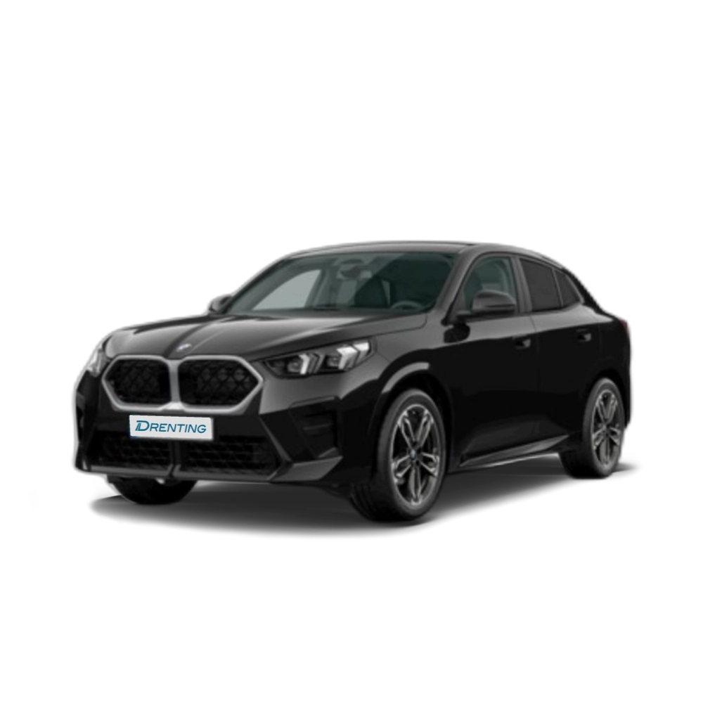 BMW X2 sDrive20d 120 kW (163 CV) 12 1