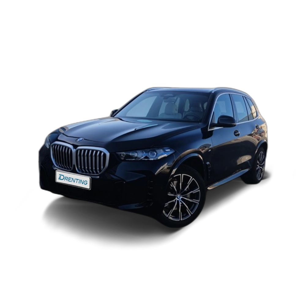 Renting BMW X5 xDrive30d xLine 219 kW (298 CV) 13