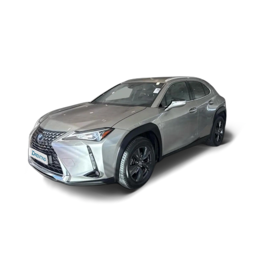 Lexus UX 250h Business City 2WD Gris 4