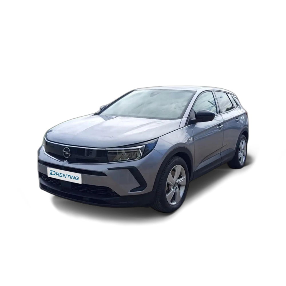Opel Grandland PHEV 1.6 Turbo Business Edition Aut. 4×2 225 Gris