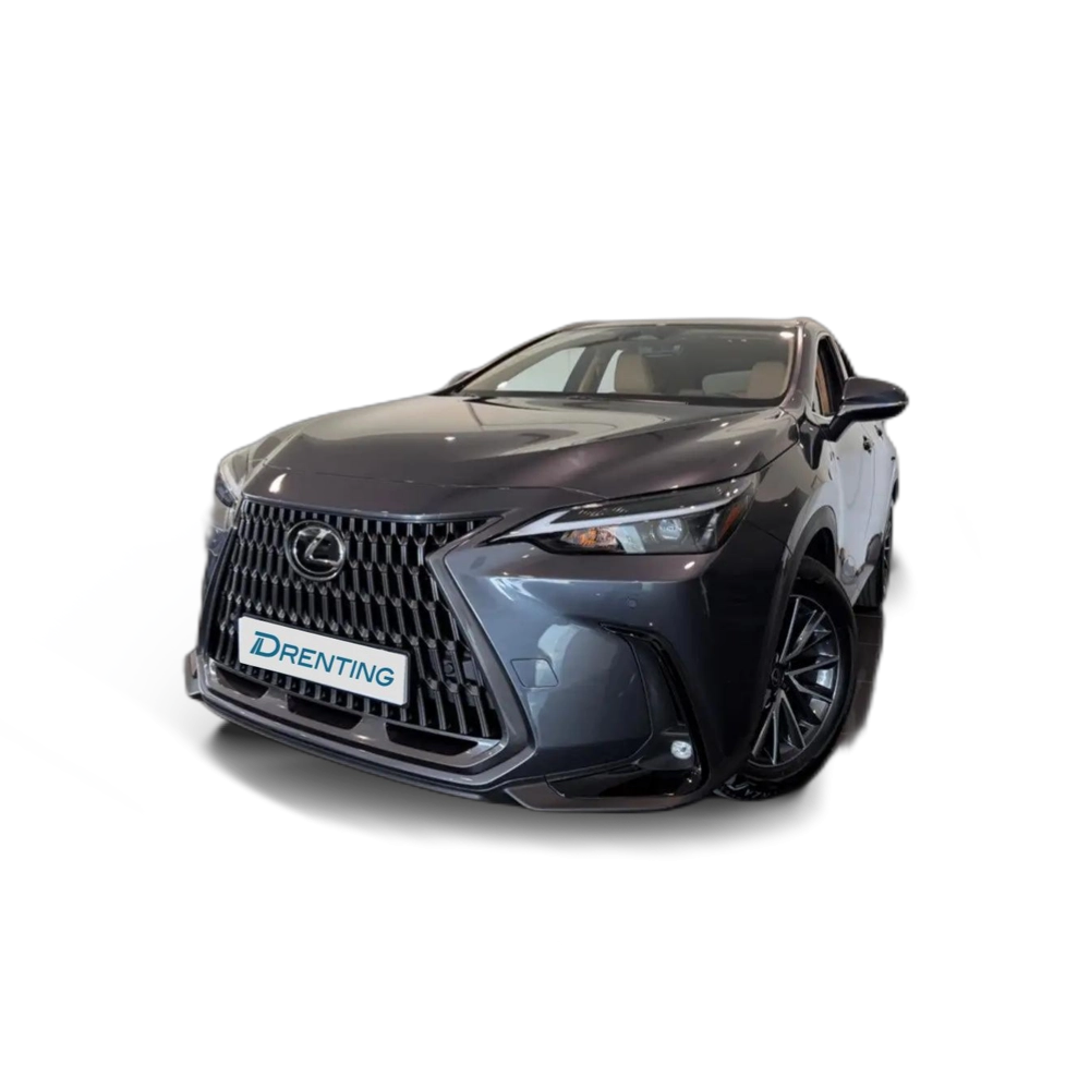 Lexus NX 450h+ Premium+ 4WD Gris