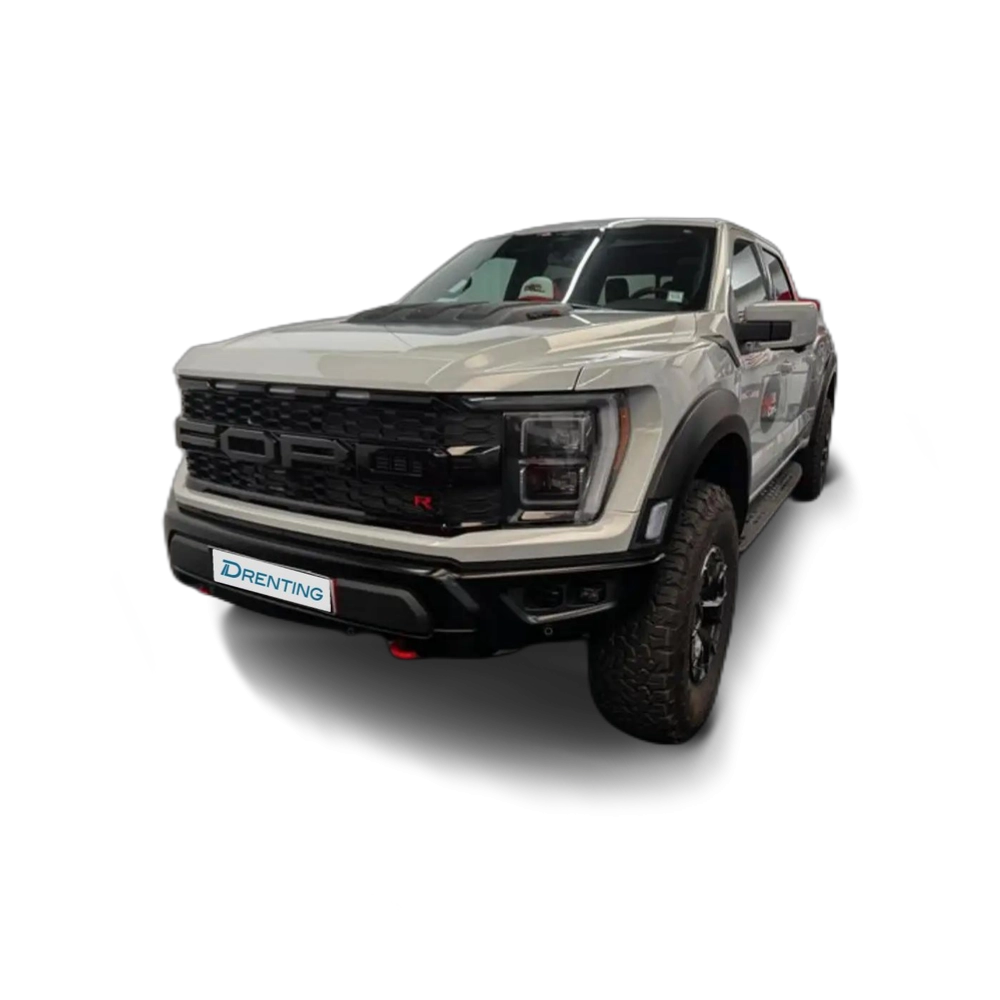 Renting Ford F 150 RAPTOR Gris 1