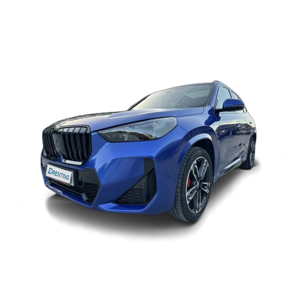BMW X1 Todoterreno Automático de 5 Puertas Azul