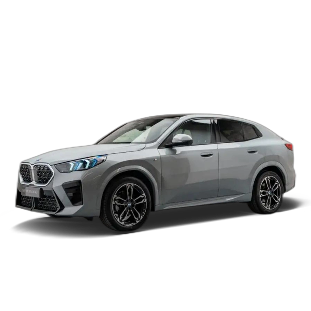 BMW X2 xDrive 20dA M Sport Gris 1