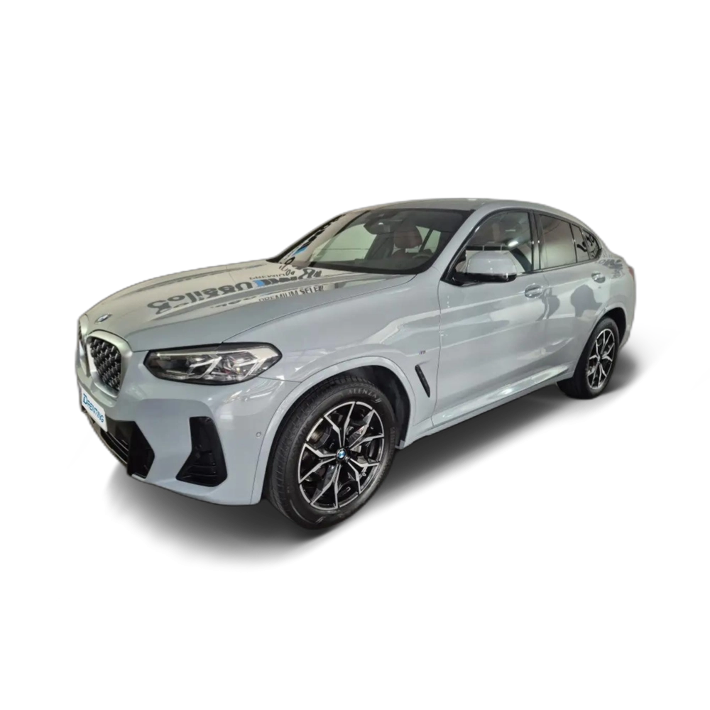 BMW X4 xDrive 20dA xLine M Sport Gris