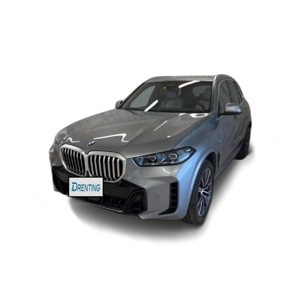 BMW X5 xDrive 30dA xLine M Sport Gris