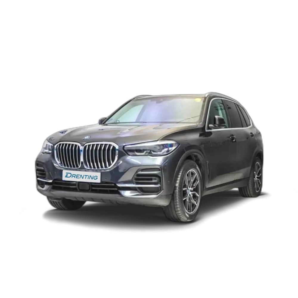 BMW X5 xDrive 45e Gris