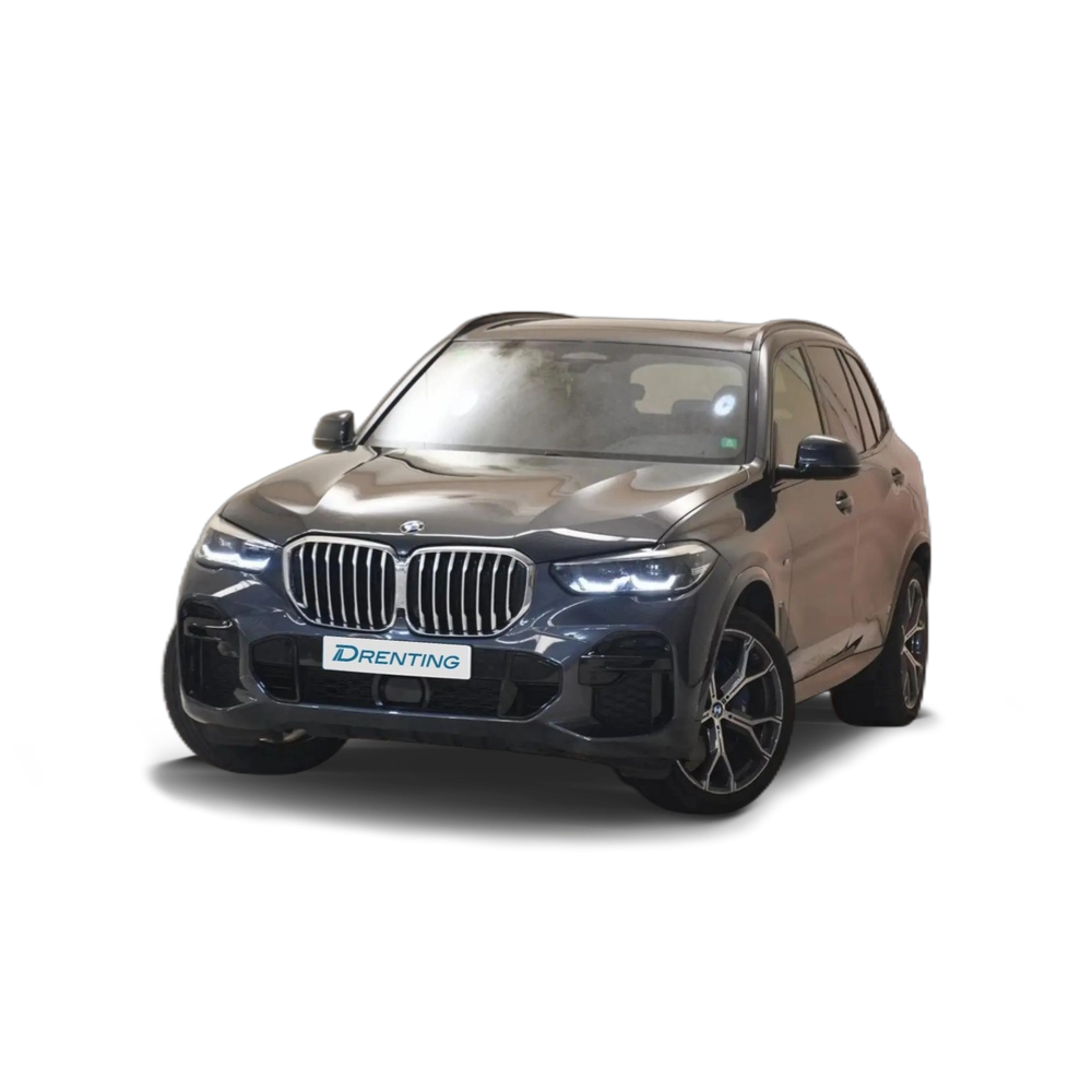 BMW X5 xDrive30d Gris