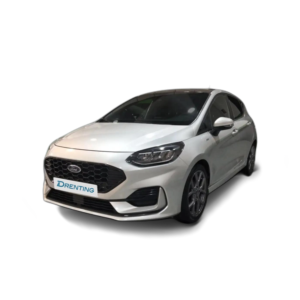 Ford Fiesta 1.0 EcoBoost MHEV ST Line X 125 Gris