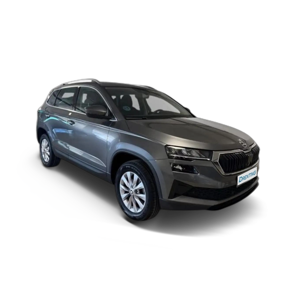 Skoda Karoq 1.0 TSI Ambition 81KW Gris