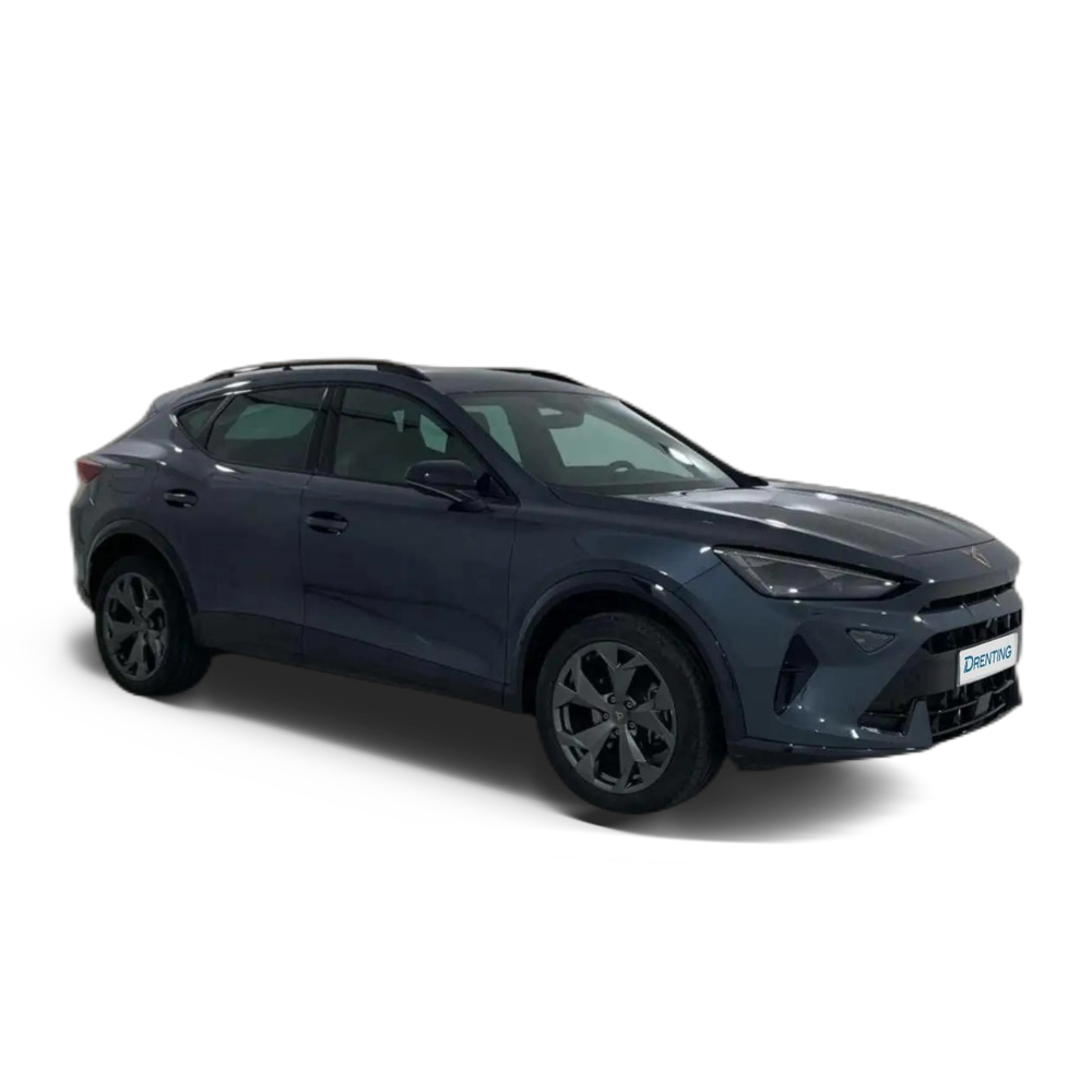 CUPRA Formentor 1.5 eTSI 150 DSG Gris 6