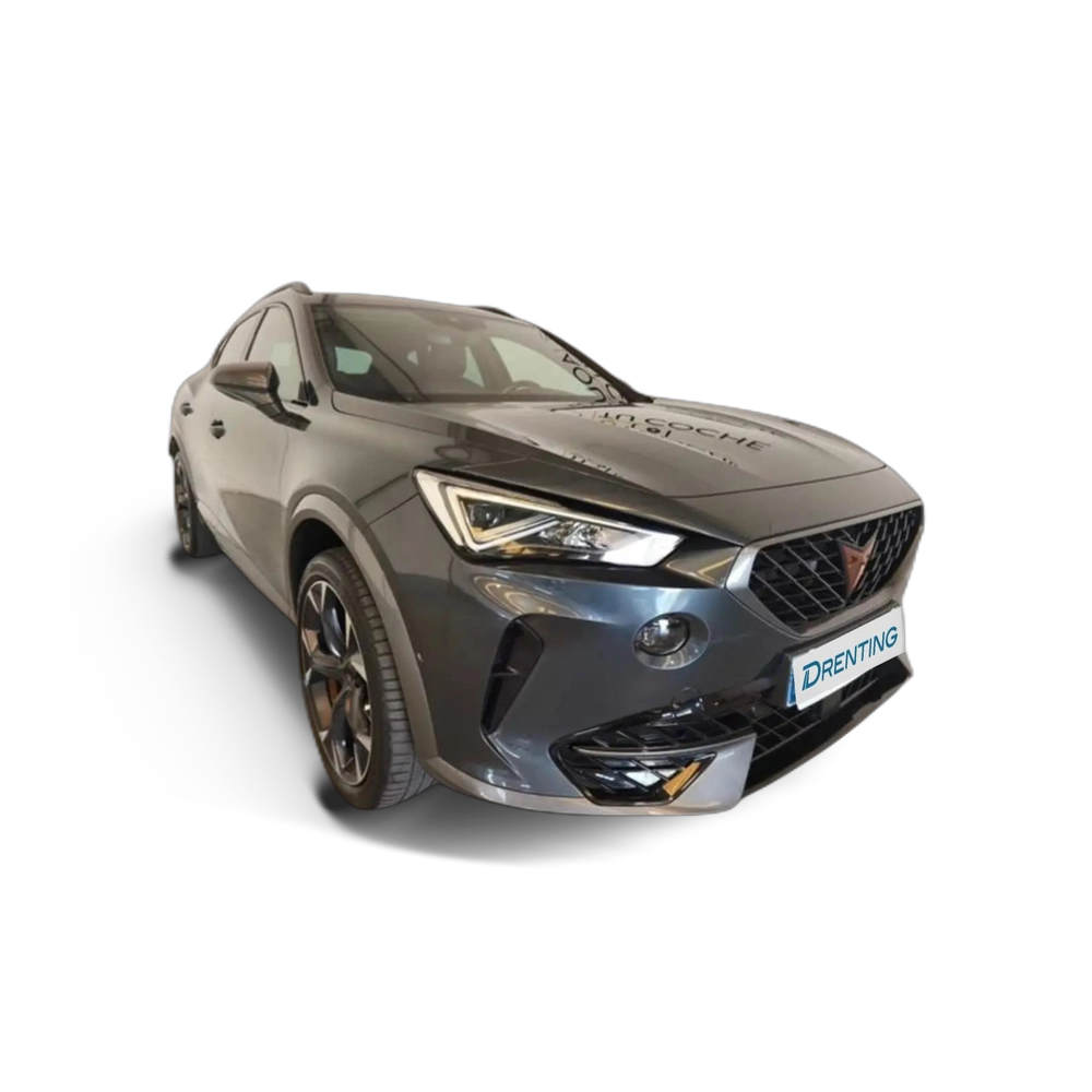 CUPRA Formentor 1.5 TSI 110 kW Gris