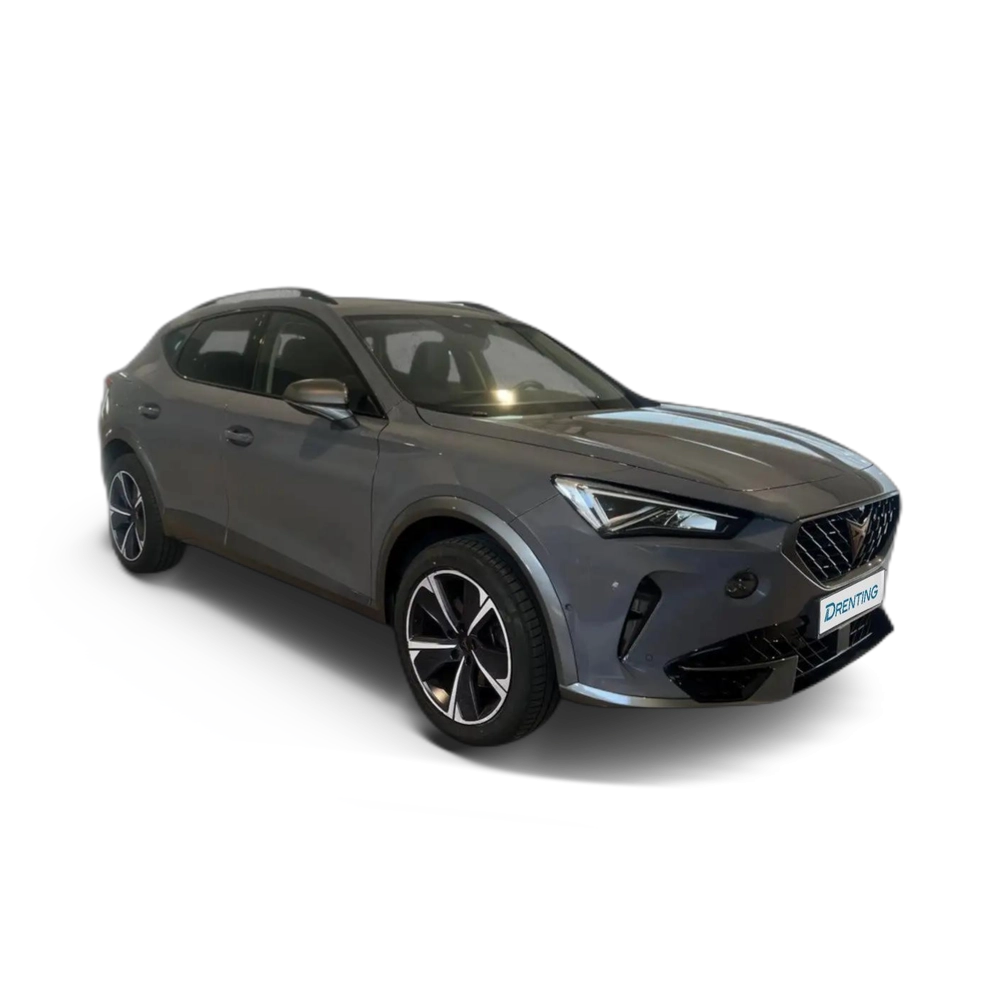 CUPRA Formentor 1.5 TSI 150 Gris 5