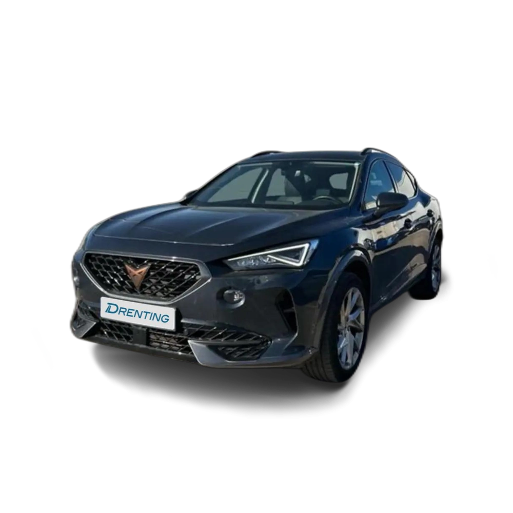 CUPRA Formentor 1.5 TSI 150 Gris 3