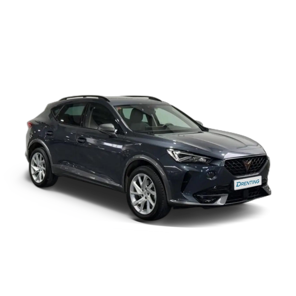 CUPRA Formentor 1.5 TSI 150 Gris 3