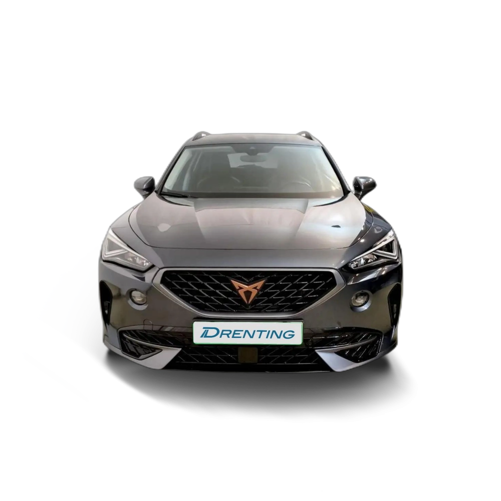 CUPRA Formentor 1.5 TSI 150 DSG Gris 3