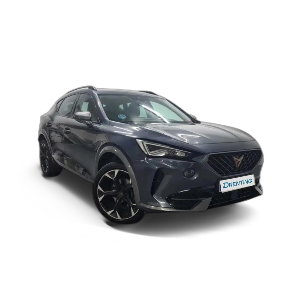 CUPRA Formentor 1.5 TSI 150 DSG Gris 6