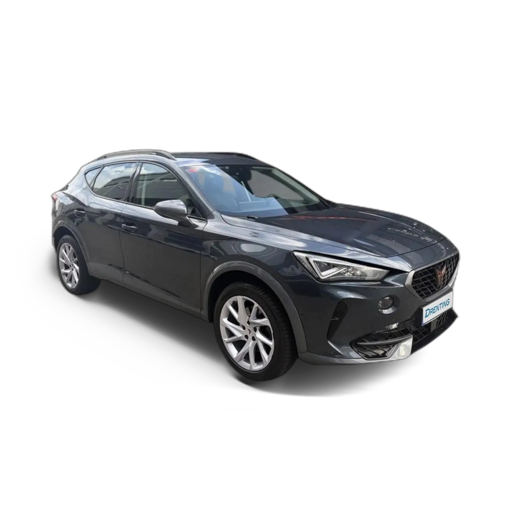 CUPRA Formentor 1.5 TSI 150 DSG Gris