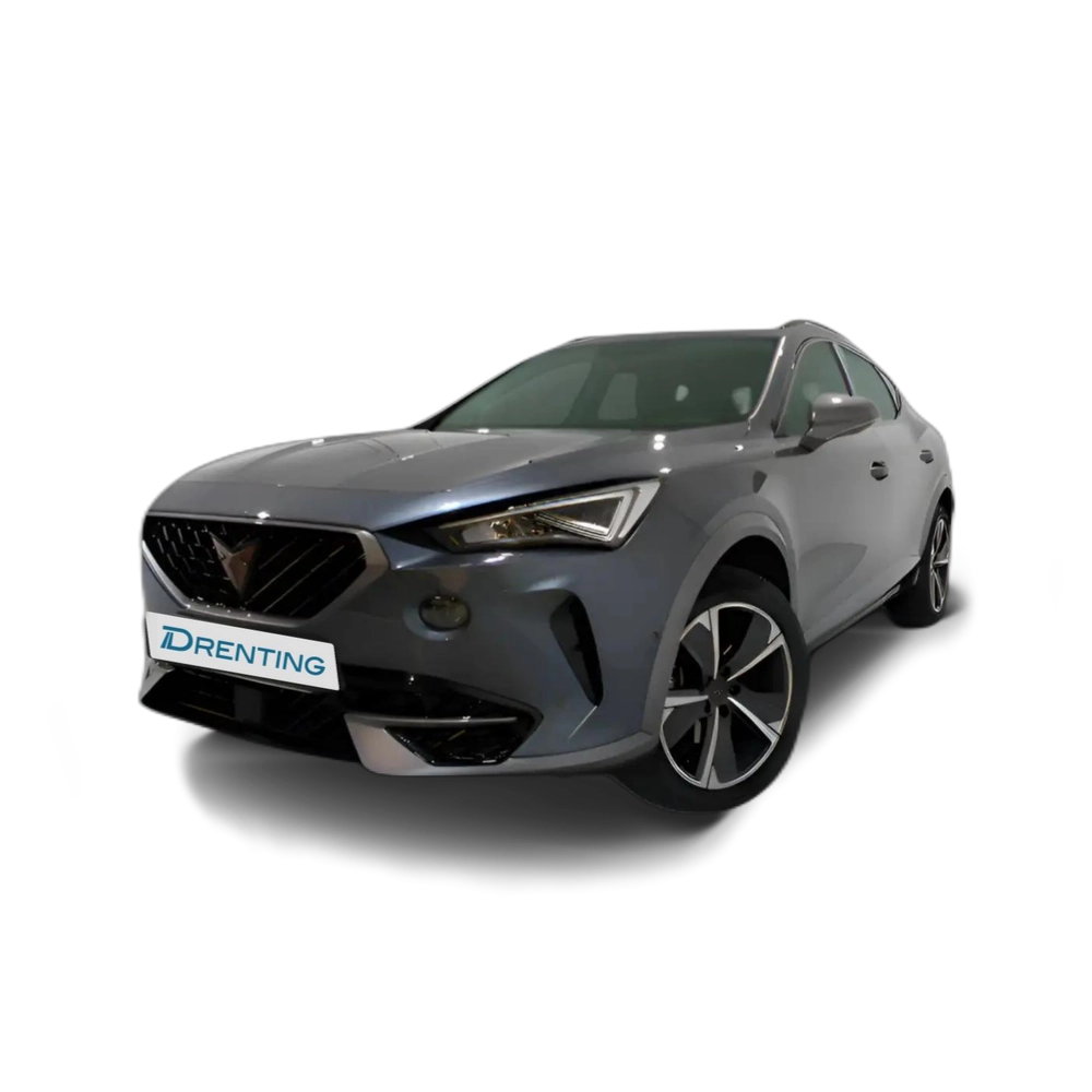 CUPRA Formentor 1.5 TSI 150 DSG Gris