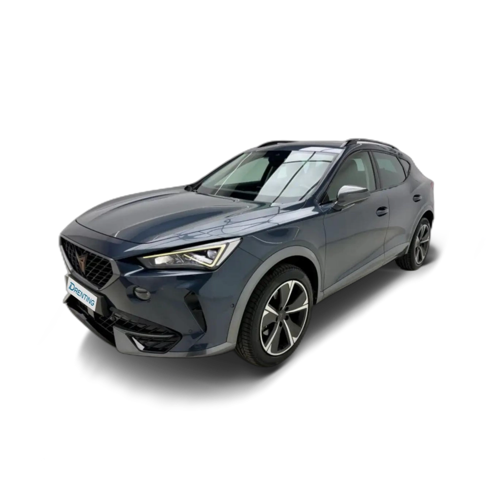 CUPRA Formentor 1.5 TSI 150 Gris 2